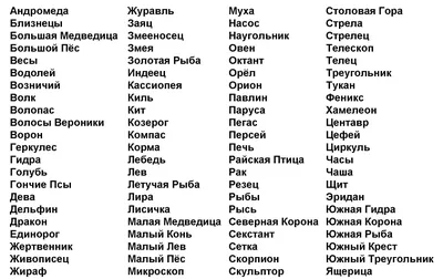 Созвездия: наблюдение созвездий, наблюдение суточного вращения неба.