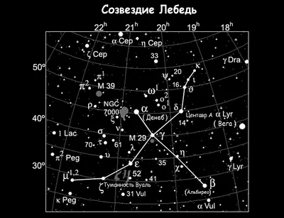 Созвездие Малая Медведица