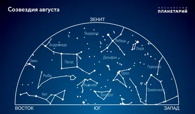 Самые узнаваемые созвездия | Эрудит.Онлайн | Дзен