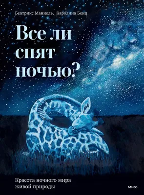 Созвездия. 19 карточек. Доронина Г.В. купить оптом в Екатеринбурге от 50  руб. Люмна