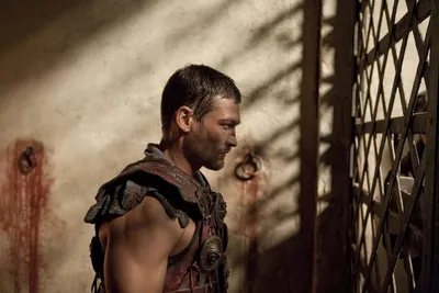 Сериал «Спартак: Месть» / Spartacus: Vengeance (2010) — трейлеры, дата  выхода | КГ-Портал