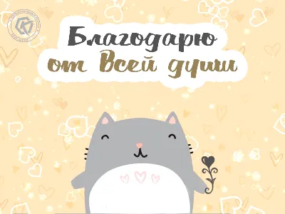 Спасибо друг, ты видишь меня🤍 @viktornovikov 10 лет мы дружим. Есть и ещё  одна цифра -11. 11 лет я занимаюсь фото. Даже не верится. За… | Instagram