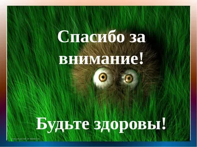 Эти компьютерные мастера такие засери... / компьютерный мастер :: спасибо  что не мусорите :: реклама (рекламные фото приколы ) :: объявление ::  смешные картинки (фото приколы) / смешные картинки и другие приколы: