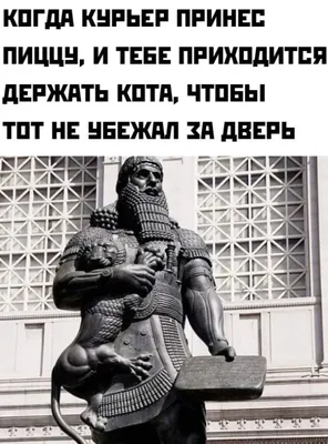 Наклейки на унитаз «смешная Свинка», «спасибо», плакат с собакой, Настенные  обои, семейные настенные наклейки для ванной, Лидер продаж, 30*35 см, 2022  | AliExpress