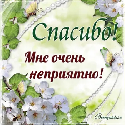 акима on X: \"то есть жан всю жизнь мозолил глаза об этот спидозный вшивый  шарфик?) https://t.co/XQo4aZwoG3\" / X