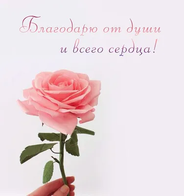 Постер Бабушке \"Спасибо что ты есть!\" (ID#1824014349), цена: 235 ₴, купить  на Prom.ua