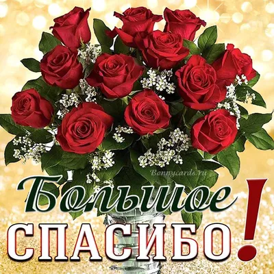 Букет из 51 розы \"Спасибо!\" (id 8118417), купить в Казахстане, цена на  Satu.kz
