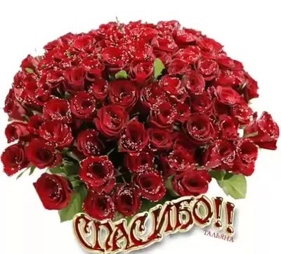 Открытка спасибо с красными розами | Открытки, Праздничные открытки,  Праздничные цитаты