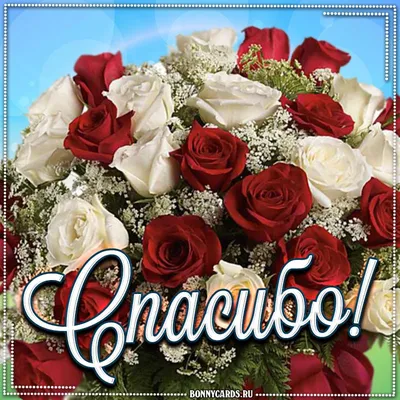 Открытка с именем Рузанна Спасибо красные розы с подписью. Открытки на  каждый день с именами и пожеланиями.