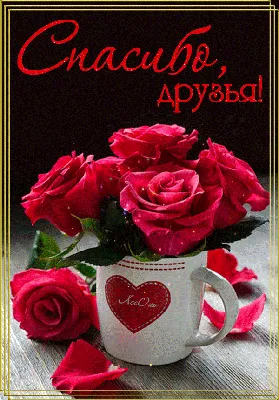 Оранжевые розы и классн классный с словами спасибо Стоковое Фото -  изображение насчитывающей карточка, рекламодателя: 83918770