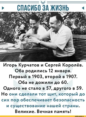 СКАЖИ СПАСИБО»