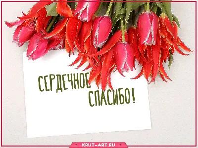 Cпасибо взаимно картинки и открытки скачать (ТОП 20)