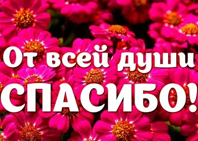 Спасибо вам друзья,что вы есть у меня!Желаю вам здоровья,счастья и  душевного тепла!» ~ Открытка (плейкаст)