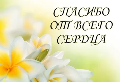 Спасибо тебе, дорогая, за поддержку и заботу. За то, что ты рядом — и от  этого становится легче на душе и светло в с… | Открытки, Поздравительные  открытки, Картинки