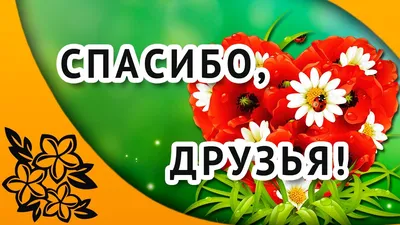 Спасибо, Вам мои друзья, за поздравления!!!!!! Спасибо, что вы у меня  есть!!!!! Здоровья вам!!!!!!! | ВКонтакте