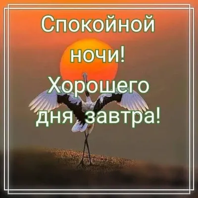 Спокойной ночи! До завтра! Мистика,…» — создано в Шедевруме