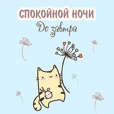 Спокойной ночи всем!: erofotos — LiveJournal