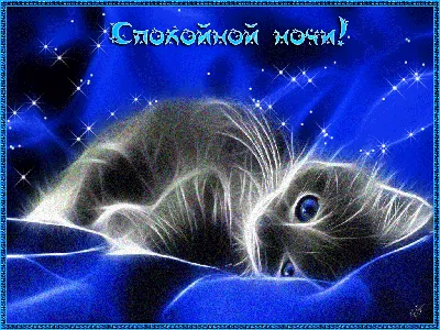 Открытки спокойной ночи | Big cats art, Good night gif, Night gif