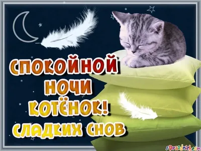Картинка - Спокойной ночи, мой любимый котик!.