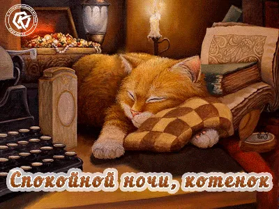 Картинка со спящим котиком и пожеланием доброй ночи | Скачать бесплатно |  Ночь, Смешные открытки, Веселые мысли