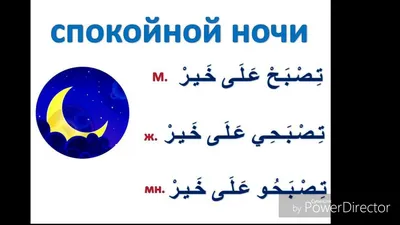 в арабском языке не говорят «спокойной ночи», у них принято желать تصبح على  خير (тусбихун аля хайр), что переводится как «пусть хорошие… | Instagram