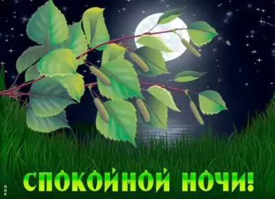 Спокойной ночи | Ночь, Спокойной ночи, Доброе утро