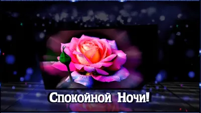 Спокойной ночи | Facebook