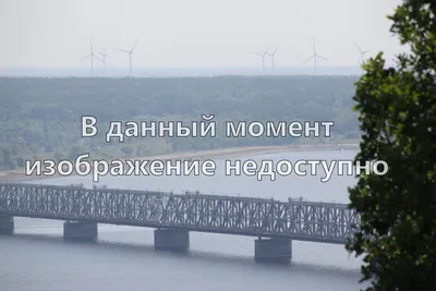 Самые спортивные парни. А также Brothers team и шанс попасть на Сочи-2014 |  Верстов.Инфо