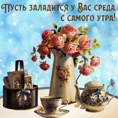 Картинки \"доброе утро среда\" (36 ФОТО) ⭐ Наслаждайтесь юмором! | Доброе  утро, Смешные котята, Смешной юмор