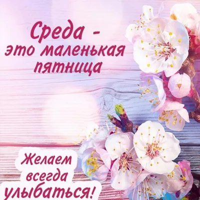 Открытка с добрым утром среды — Slide-Life.ru