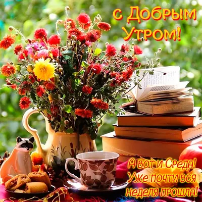 Среда маленькая пятница картинки прикольные - 68 фото