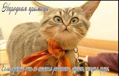 Сегодня - среда, маленькая пятница... | пожелания, Новости Казахстана -  свежие новости РК КЗ на сегодня | Bestnews.kz