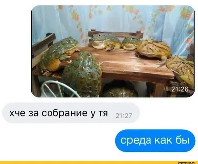 Доброй среды картинки и открытки прикольные