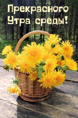 Предметно-развивающая среда в старшей группе детского сада (5 фото).  Воспитателям детских садов, школьным учителям и педагогам - Маам.ру