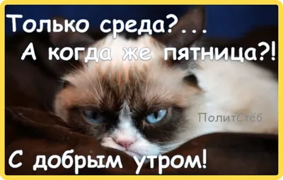 Среда, - это маленькая пятница :: Юрий Григорьевич Лозовой – Социальная  сеть ФотоКто