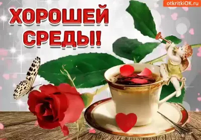 Привет среда картинки красивые (44 фото) » Красивые картинки, поздравления  и пожелания - Lubok.club