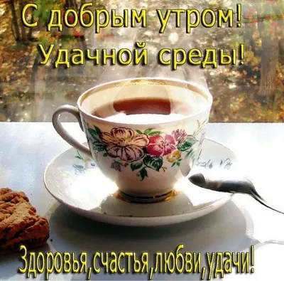 Среда 2023. Фестиваль нового дизайна