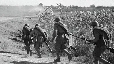 Сталинградская битва 1942-1943 года: дата, суть, командующие армиями, герои  сражения, значение, итоги сражения