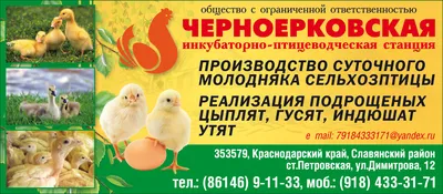 Продам дом на улице Комсомольской 93 в станице Петровской в районе  Славянском Петровское сельское поселение 54.0 м² на участке 25.0 сот этажей  1 2500000 руб база Олан ру объявление 96616249