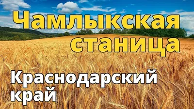 Термальные источники «Тавуш», Лабинск — цены 2024, официальный сайт, база,  отзывы, фото, видео, как добраться