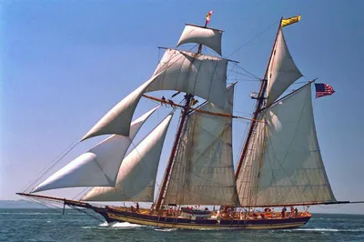 Зачем в 1853 году в Сан-Франциско сняли паруса с 700 кораблей. |  Джентльмены + | Дзен