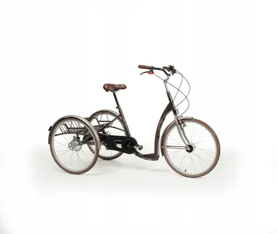 Photo by Alice Austen 1896 | Старинные велосипеды, Велосипед, Старый  велосипед