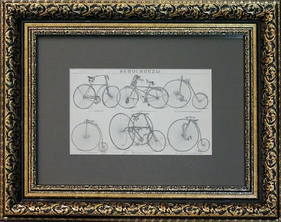 Выставка-коллекция старинных велосипедов из Италии в «Аптекарском огороде»  – события на сайте «Московские