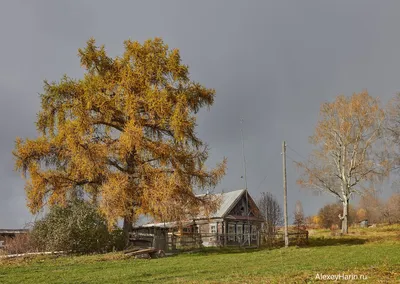 File:Старый дом в деревне Прикамье. Осинский район, Пермский край -  panoramio.jpg - Wikimedia Commons