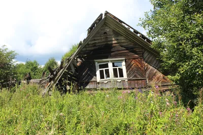 Старый заброшенный деревянный дом в деревне Stock Photo | Adobe Stock