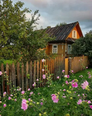 В Новосибирске нашли самый старый дом — его построили 170 лет назад - 31  октября 2019 - НГС.ру