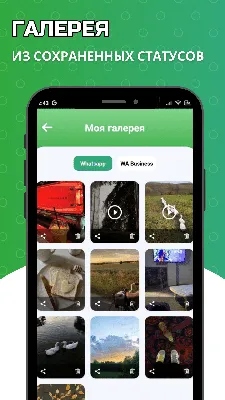 Скачать Сохранение статуса WhatsApp APK для Android