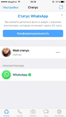 Статусы WhatsApp Business аккаунта и лимиты на отправку сообщений |  SendPulse