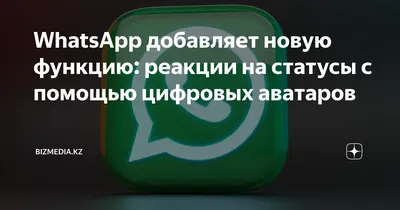 Что такое статус в Ватсап и как им пользоваться | AppleInsider.ru