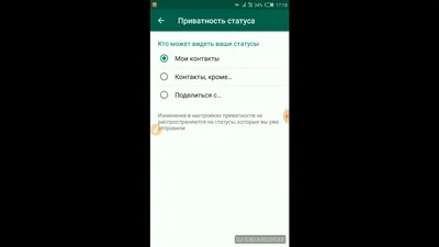 WhatsApp тестирует необычные статусы в приложении. У каждого будет  уникальный